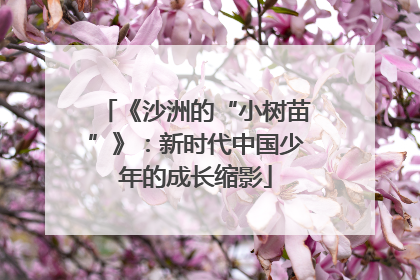 《沙洲的“小树苗”》：新时代中国少年的成长缩影