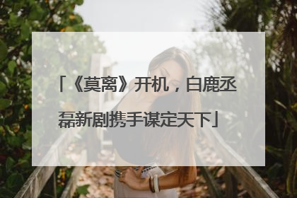 《莫离》开机，白鹿丞磊新剧携手谋定天下