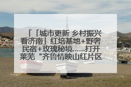 「城市更新 乡村振兴看济南」红培基地+野奢民宿+玫瑰秘境……打开莱芜“齐鲁情映山红片区”的破圈秘籍