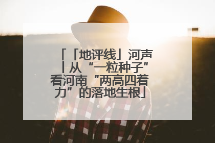 「地评线」河声丨从“一粒种子”看河南“两高四着力”的落地生根