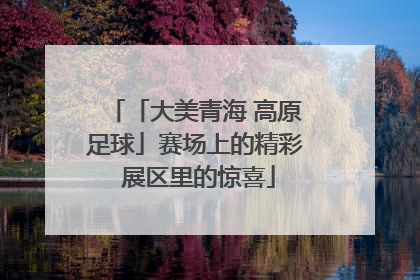 「大美青海 高原足球」赛场上的精彩 展区里的惊喜