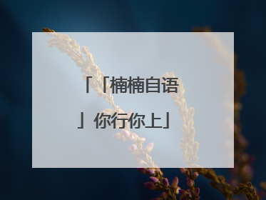 「楠楠自语」你行你上