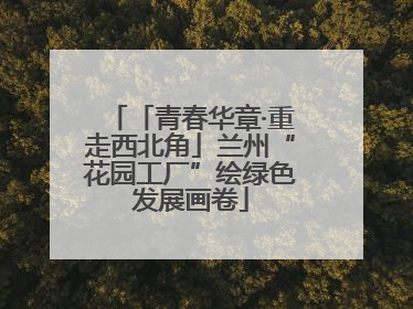 「青春华章·重走西北角」兰州“花园工厂”绘绿色发展画卷