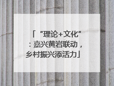 “理论+文化”：嘉兴黄岩联动，乡村振兴添活力
