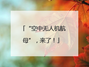 “空中无人机航母”，来了！