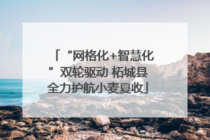 “网格化+智慧化”双轮驱动 柘城县全力护航小麦夏收