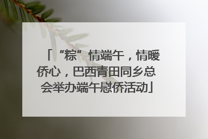 “粽”情端午，情暖侨心，巴西青田同乡总会举办端午慰侨活动
