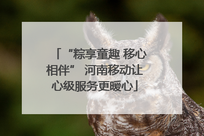 “粽享童趣 移心相伴” 河南移动让心级服务更暖心
