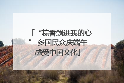 “粽香飘进我的心” 多国民众庆端午感受中国文化