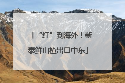 “红”到海外！新泰鲜山楂出口中东