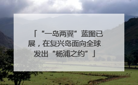 “一岛两翼”蓝图已展，在复兴岛面向全球发出“杨浦之约”