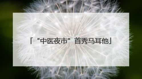 “中医夜市”首秀马耳他