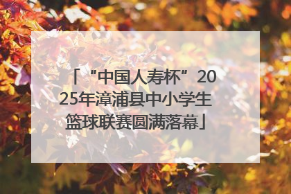 “中国人寿杯”2025年漳浦县中小学生篮球联赛圆满落幕