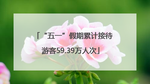 “五一”假期累计接待游客59.39万人次