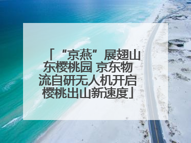 “京燕”展翅山东樱桃园 京东物流自研无人机开启樱桃出山新速度