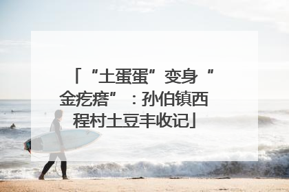 “土蛋蛋”变身“金疙瘩”：孙伯镇西程村土豆丰收记