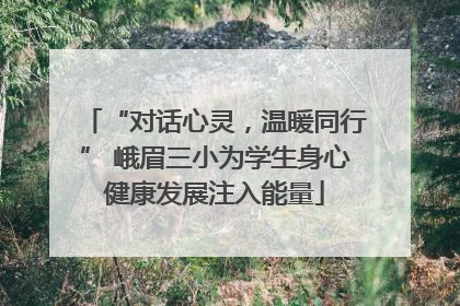 “对话心灵，温暖同行” 峨眉三小为学生身心健康发展注入能量