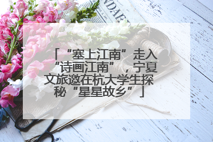 “塞上江南”走入“诗画江南”，宁夏文旅邀在杭大学生探秘“星星故乡”