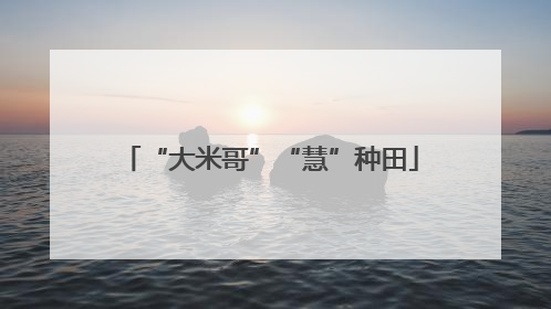 “大米哥”“慧”种田