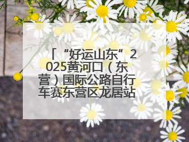 “好运山东”2025黄河口（东营）国际公路自行车赛东营区龙居站 完美“抄作业”，苦战最后时刻黄衫易主