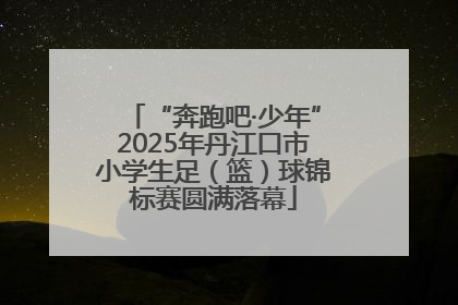 “奔跑吧·少年”2025年丹江口市小学生足（篮）球锦标赛圆满落幕