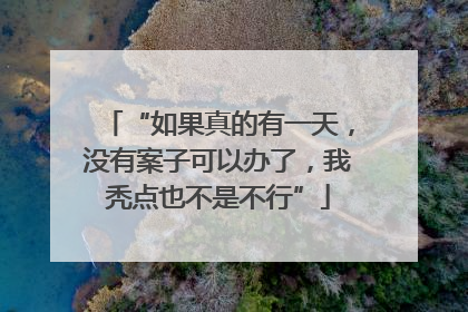 “如果真的有一天，没有案子可以办了，我秃点也不是不行”