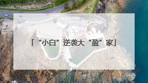 “小白”逆袭大“盈”家