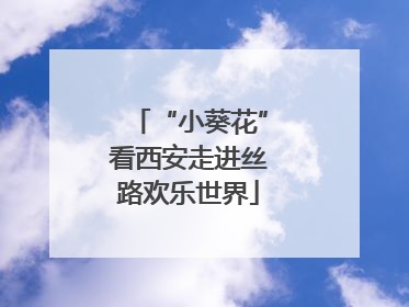 “小葵花”看西安走进丝路欢乐世界