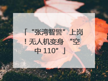 “张湾智警”上岗！无人机变身 “空中 110”