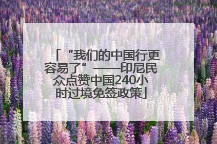 “我们的中国行更容易了”——印尼民众点赞中国240小时过境免签政策