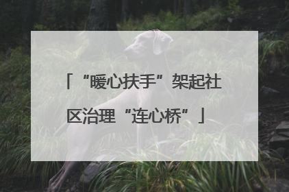 “暖心扶手”架起社区治理“连心桥”
