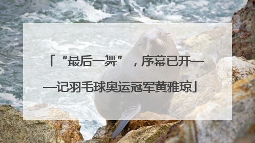 “最后一舞”，序幕已开——记羽毛球奥运冠军黄雅琼