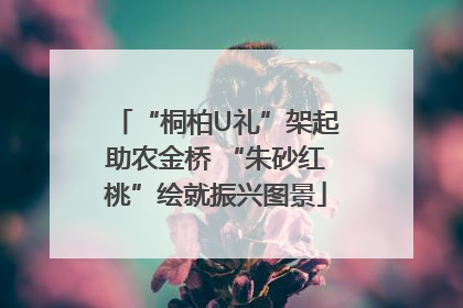 “桐柏U礼”架起助农金桥 “朱砂红桃”绘就振兴图景
