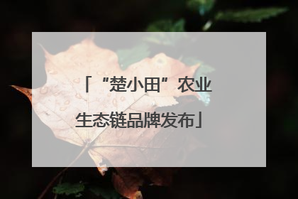“楚小田”农业生态链品牌发布