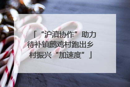 “沪滇协作”助力待补镇鹧鸡村跑出乡村振兴“加速度”
