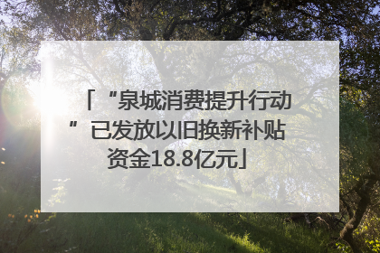“泉城消费提升行动”已发放以旧换新补贴资金18.8亿元