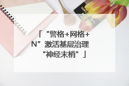 “警格+网格+N”激活基层治理“神经末梢”
