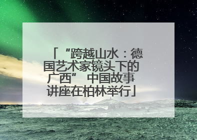 “跨越山水：德国艺术家镜头下的广西” 中国故事讲座在柏林举行