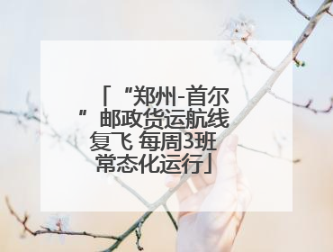 “郑州-首尔”邮政货运航线复飞 每周3班常态化运行