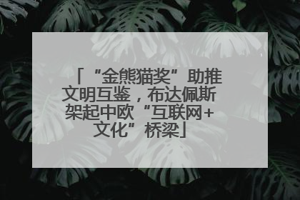 “金熊猫奖”助推文明互鉴，布达佩斯架起中欧“互联网+文化”桥梁
