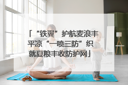 “铁翼”护航麦浪丰 平凉“一喷三防”织就夏粮丰收防护网