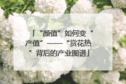 “颜值”如何变“产值”——“赏花热”背后的产业图谱