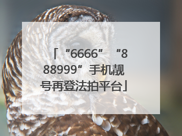 “6666”“888999”手机靓号再登法拍平台