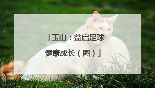 玉山：益启足球 健康成长（图）