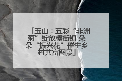 玉山：五彩“非洲菊”绽放横街镇 朵朵“振兴花”催生乡村共富图景