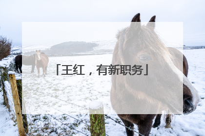 王红，有新职务