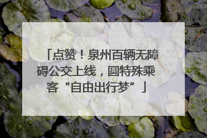 点赞！泉州百辆无障碍公交上线，圆特殊乘客“自由出行梦”