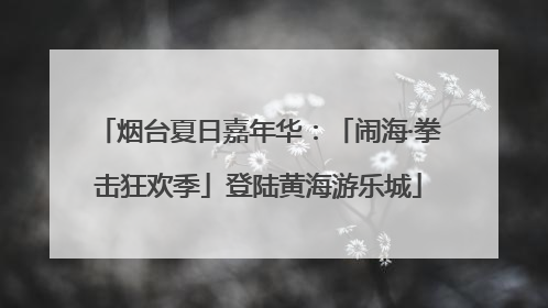 烟台夏日嘉年华：「闹海·拳击狂欢季」登陆黄海游乐城