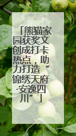 熊猫家园获奖文创成打卡热点，助力打造“锦绣天府·安逸四川”