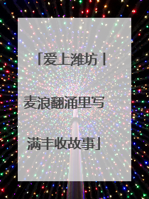 爱上潍坊丨麦浪翻涌里写满丰收故事